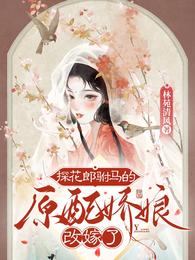 探花郎驸马的原配娇娘改嫁了 封面