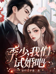 季少，我们试婚吧 封面