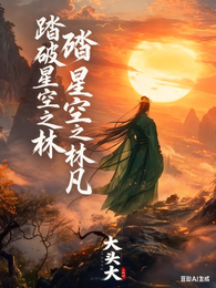 踏破星空之林凡 封面