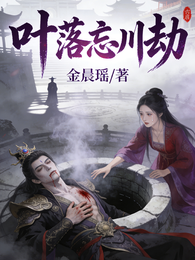 叶落忘川劫 封面