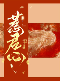 惹君心 封面