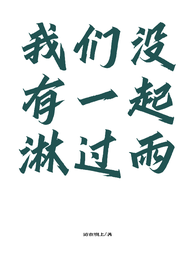 我们没有一起淋过雨 封面