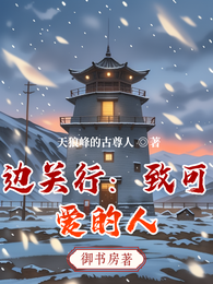 边关行:致可爱的人 封面