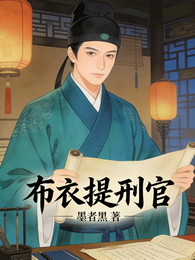 布衣提刑官 封面