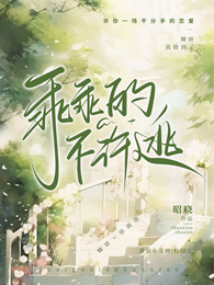 乖乖的，不许逃 封面