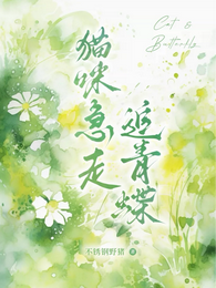 猫咪急走追青蝶 封面