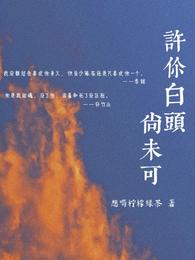 许你白头尚未可 封面