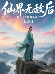 仙界无敌后,我在下界微服私访 封面