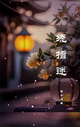 绕指迷 封面