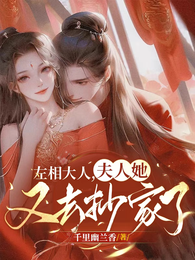 左相大人，夫人又去抄家了 封面
