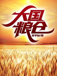 大国粮仓 封面