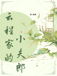 云程家的小夫郎 封面