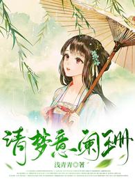 清梦意阑珊 封面