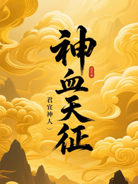 神血天征 封面