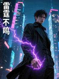 雷霆不鸣 封面