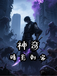神奇：暗影刺客 封面