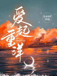 爱起重洋 封面