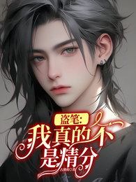 盗笔：我真的不是精分 封面