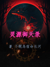 灵源御天录 封面