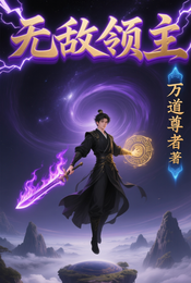 无敌领主 封面
