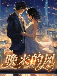 晚来的风 封面