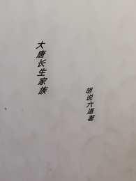 大唐长生家族 封面