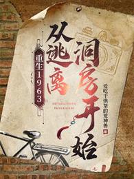 重生1963，从逃离洞房开始 封面