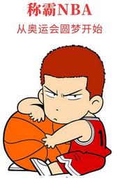 称霸NBA：从奥运会圆梦开始 封面