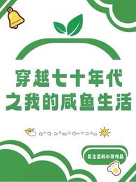 穿越七十年代之我的咸鱼生活 封面