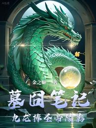 墓囧笔记九龙捧圣帝陵影 封面