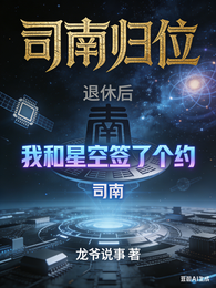 司南归位退休后我和星空签了个约 封面