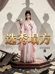 选秀塌方 封面