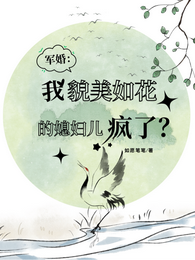 军婚:我貌美如花的媳妇儿疯了? 封面