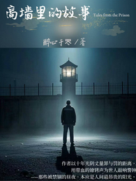 高墙里的故事 封面