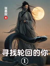 寻找轮回的你 封面