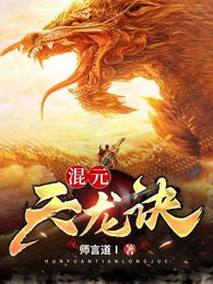 混元天龙诀 封面