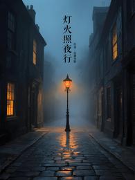 灯火照夜行 封面