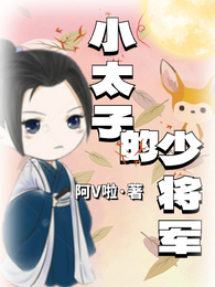 小太子的少将军 封面