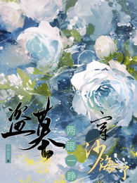 盗墓：两眼一睁穿沙海了 封面