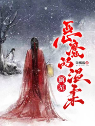 偷星：恶魔的温柔 封面