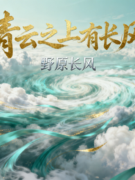 青云之上有长风 封面