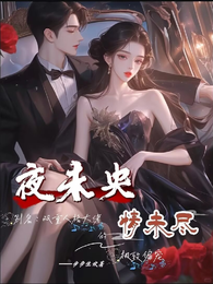 夜未央,情未尽 封面