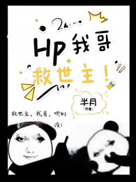 HP：我哥，救世主！ 封面