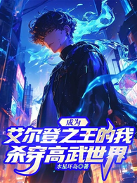 成为艾尔登之王的我杀穿高武世界 封面
