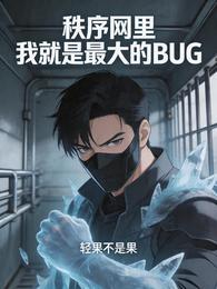 秩序网里我就是最大的BUG 封面