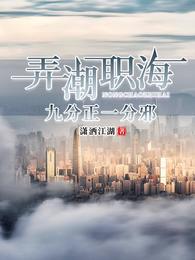 弄潮职海九分正一分邪 封面