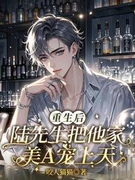 重生后,陆先生把他家美A宠上天 封面