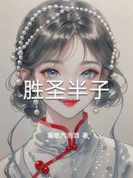 胜圣半子 封面