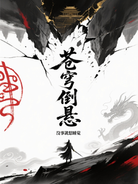 苍穹倒悬 封面