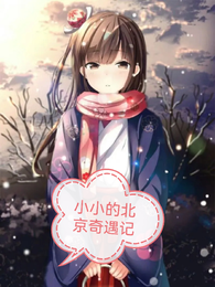 小小的北京奇遇记 封面